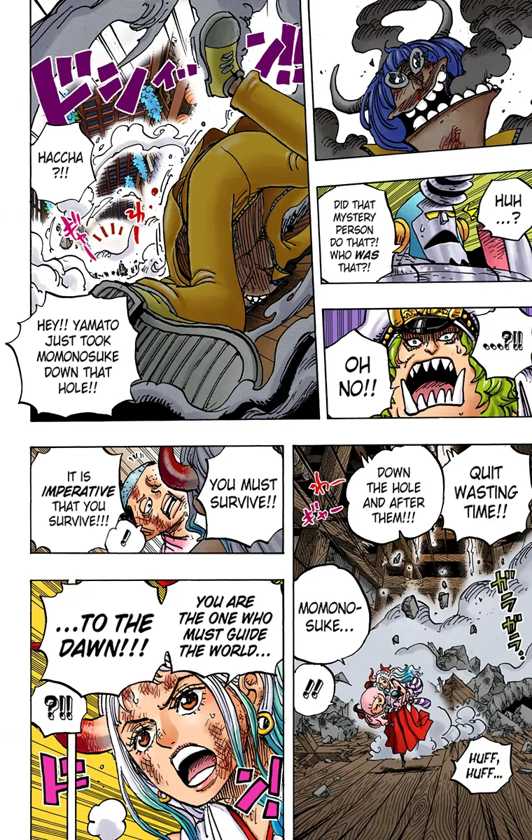 One Piece - Digital Colored Comics Chapter 996 10